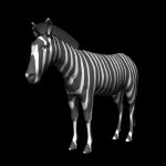 zebra_headup_lb.gif