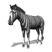 zebra_fly_sw.gif