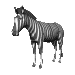 zebra_fly_sc.gif
