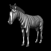 zebra_fly_sb.gif