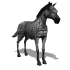 zebra_blinking_sw.gif