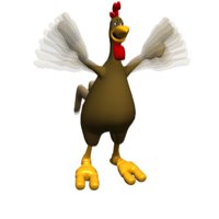 rooster_trying_to_fly_hr.jpg
