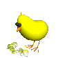 chik_eating_sc.gif