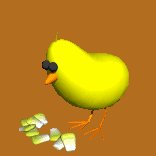 chik_eating_lc.gif