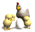 chicken_with_chics_ac_a_tw.gif