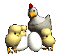 chicken_with_chics_ac_a_sc.gif