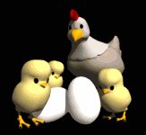 chicken_with_chics_ac_a_lb.gif