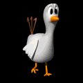 chicken_walking_mb.gif