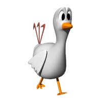 chicken_walking_hr.jpg