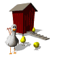 chicken_proud_mama_sw.gif