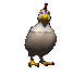 chicken_laying_eggs_sc.gif