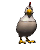 chicken_laying_eggs_mc.gif