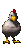 chicken_eating_tc.gif