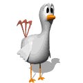 chicken_blink_mw.gif