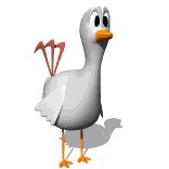 chicken_blink_lw.gif