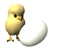 chic_with_egg_hr.jpg