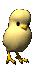 chic_hopping_sc.gif