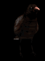 crowshuffle_mb.gif
