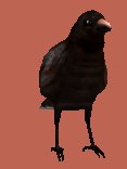 crowshuffle_lc.gif