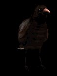 crowshuffle_lb.gif