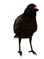 crowshuffle_hr.jpg