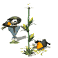 crows_eating_sw.gif