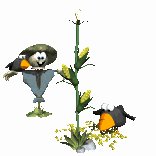 crows_eating_lc.gif