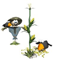 crows_eating_hr.jpg
