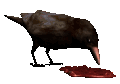 croweating_mc.gif
