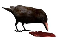 croweating_hr.jpg