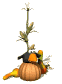 crow_hanginout_sw.gif