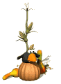 crow_hanginout_mw.gif