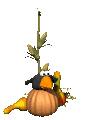 crow_hanginout_mc.gif