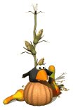 crow_hanginout_lw.gif