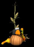 crow_hanginout_lc.gif