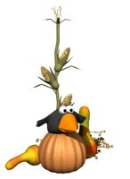 crow_hanginout_hr.jpg