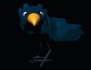 cartoon_blackbird_stare_mb.gif