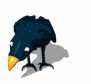 cartoon_blackbird_sea_a_sw.gif