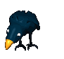 cartoon_blackbird_sea_a_sc.gif