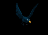 cartoon_blackbird_fly_a_sb.gif