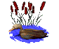 sittingduck_floating_sc.gif