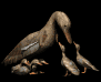 motherduck_ducklings_sb.gif
