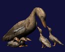 motherduck_ducklings_mc.gif