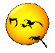 mallard_sun_sc.gif