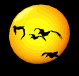 mallard_sun_sb.gif