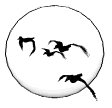 mallard_moon_mw.gif