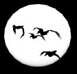 mallard_moon_mc.gif