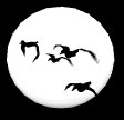 mallard_moon_mb.gif