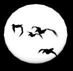 mallard_moon_lc.gif