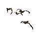 mallard_flock_sc.gif